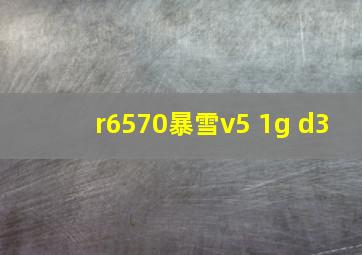 r6570暴雪v5 1g d3